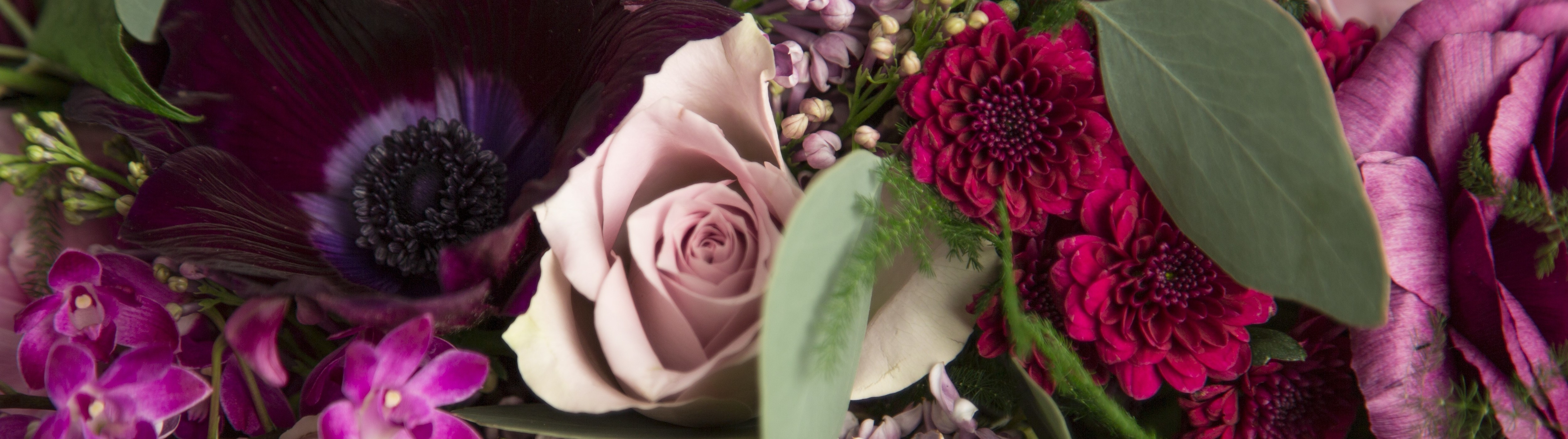 Florist Baltimore Flower Delivery Baltimore MD Florist Radebaugh