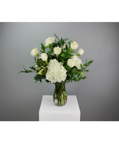 One Dozen Premium White Roses with White Hydrangea
