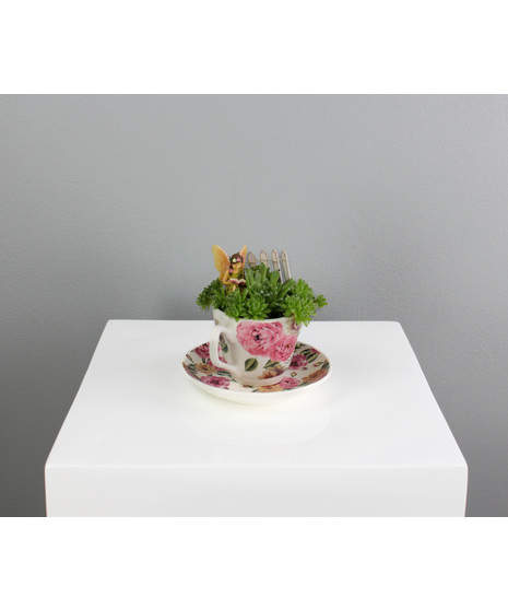Fairy Garden Teacup