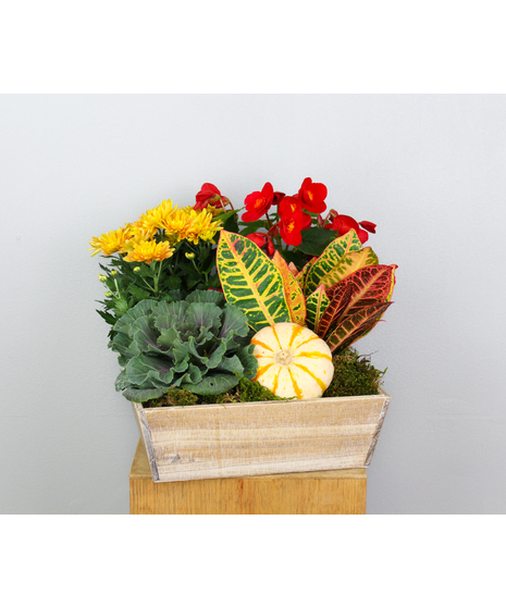 Farmhouse Crate