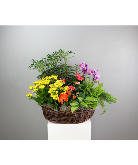 Country Garden - Blooming & Foliage Seasonal Country Basket
