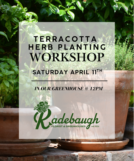 Terracotta Herb Planting Workshop  - 4/11 @ 12pm