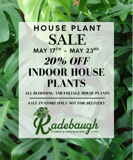 House Plant Sale - MAY 17TH- MAY 23RD