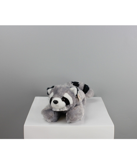 Ricky The Racoon