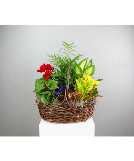 Green and Blooming Country Basket