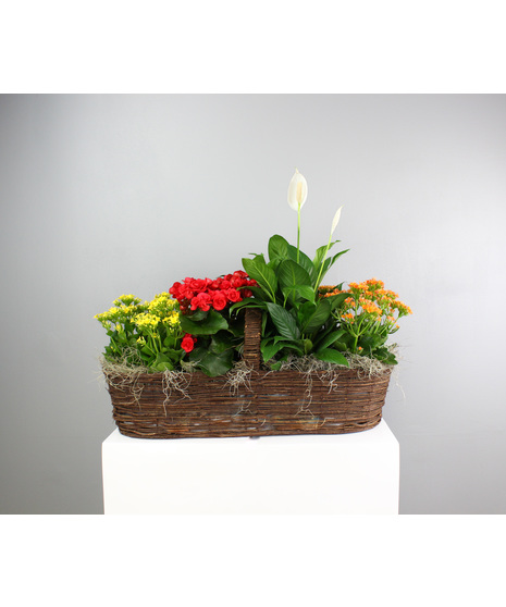 All Blooming Canoe Basket