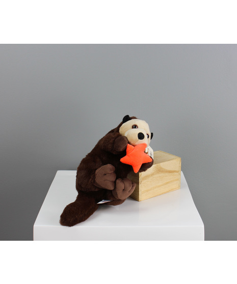 River The Otter