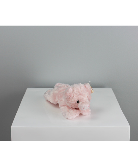 Petunia The Pig