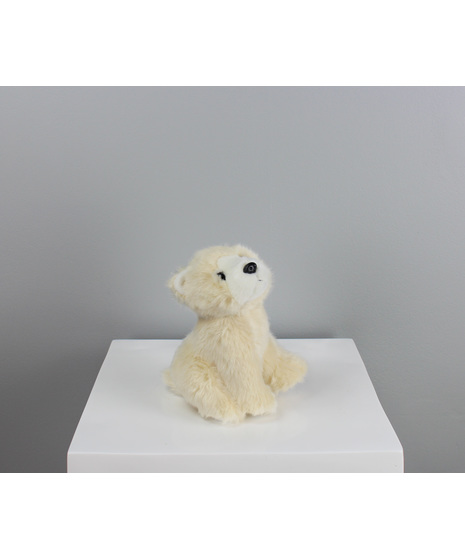 Poppy The Polar Bear