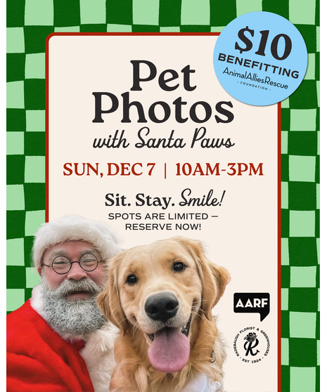 Santa Paws