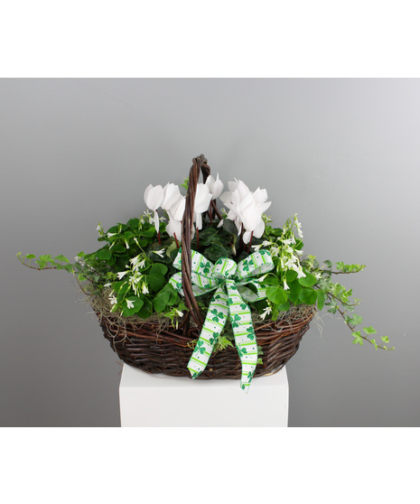 Clover Fields Basket