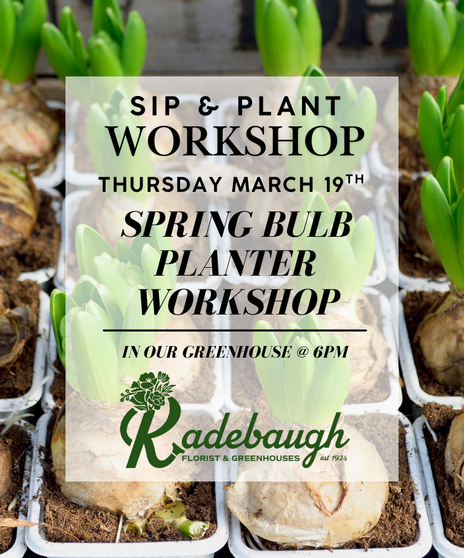 Sip & Plant: Spring Bulb Planter Workshop  - 3/19 @ 6pm
