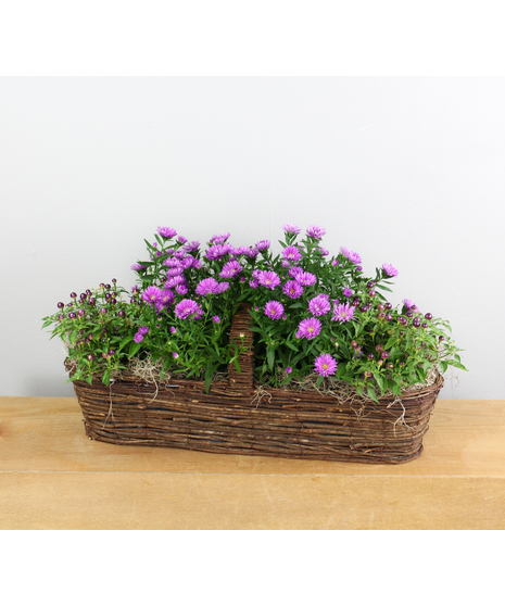 Indigo Harvest - Small Canoe of Aster & Ornamental Peppers