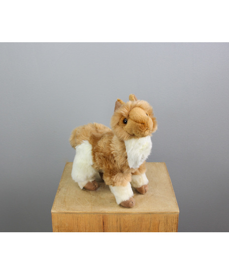 Larkspur The Llama