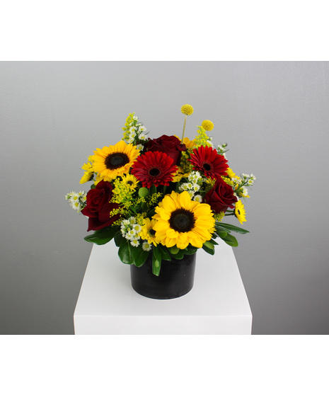 Black-Eyed Susan