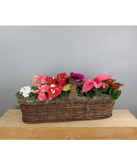 Christmas Blooming Canoe Basket