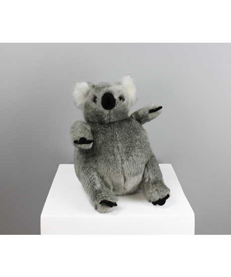 Willow The Koala