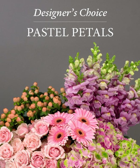 Designer's Choice - Pastel