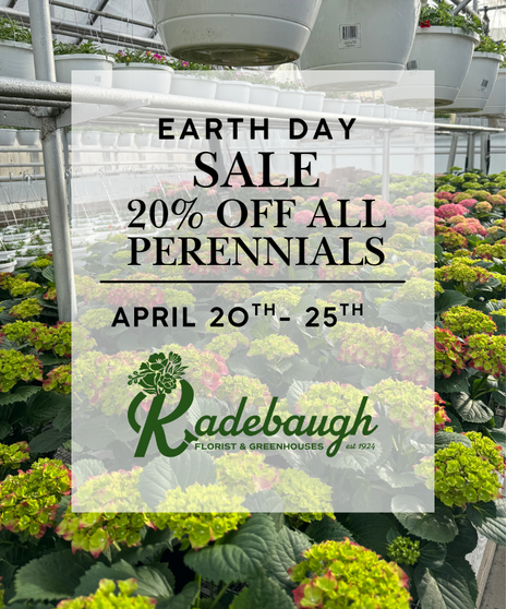 Earth Day Sale - APRIL 20TH- APRIL 25TH