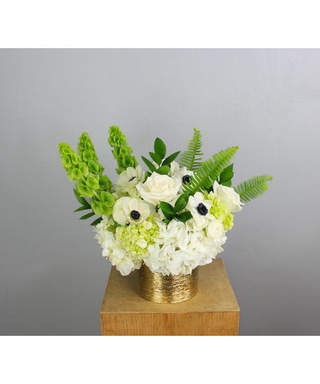 Elegance In Ivory