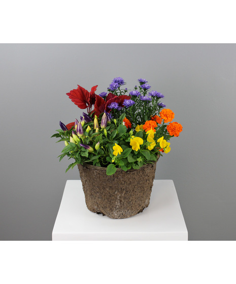 Grab & Go Small Fall Planter