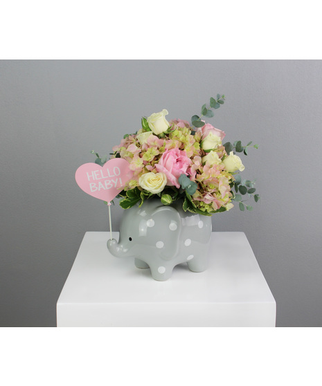 Hello Sweet Baby - Pink