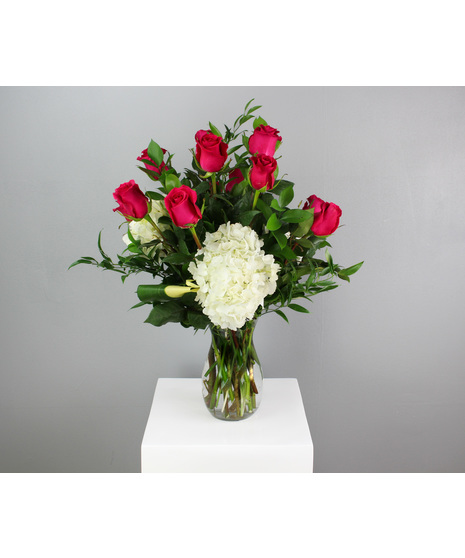One Dozen Hot Pink Roses with Hydrangea