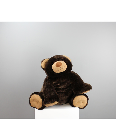 Buddy The Bear