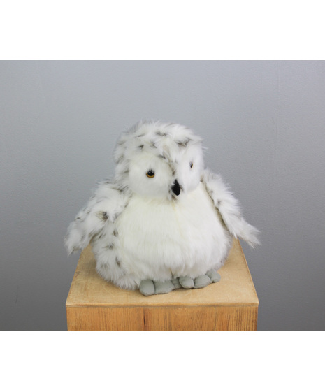 Orlaya The Owl