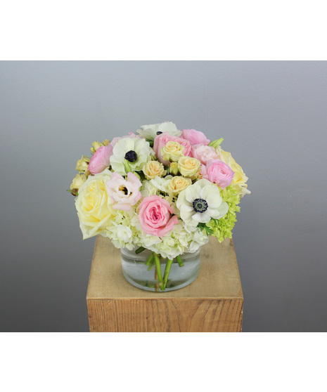 Sugar Petals