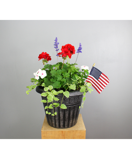 All American Planter - Combo Tub with Red, White and Blue Annuals