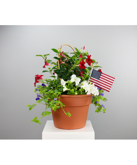All American Planter - Combo Tub with Red, White and Blue Annuals