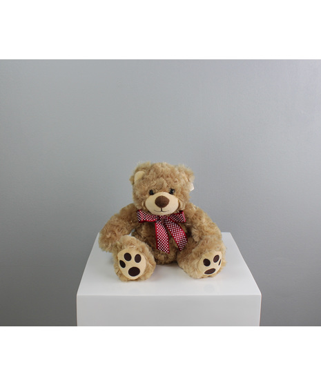 Tulip The Bear