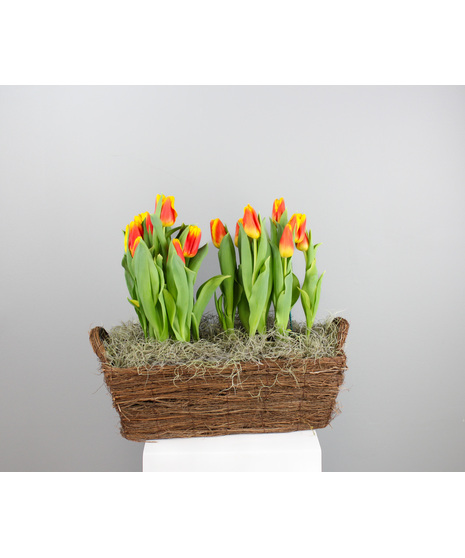 Simply Spring Tulips