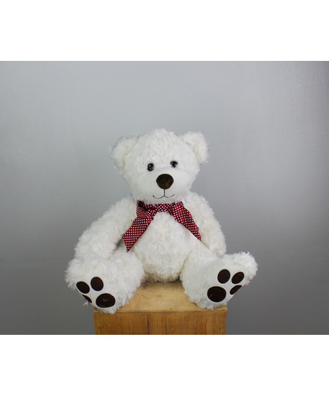 Magnolia The Bear