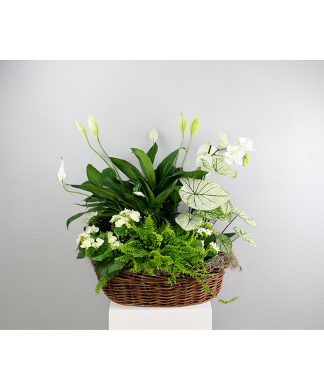 Garden Whisper Basket