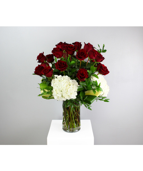 Endless Love - Two Dozen Premium Red Roses with Hydrangea