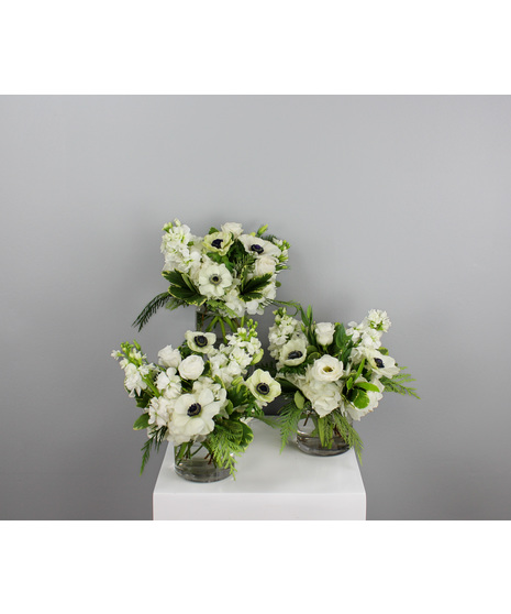 Winter Radiance Trio