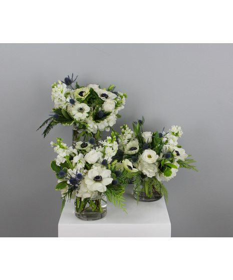 Northern Lights Trio