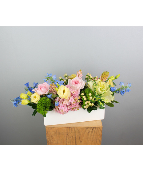 Springtime Symphony