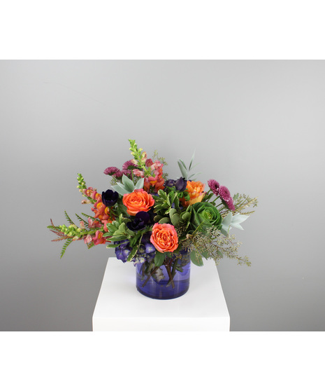Abracadabra is a spellbinding celebration of fall’s vibrant magic.