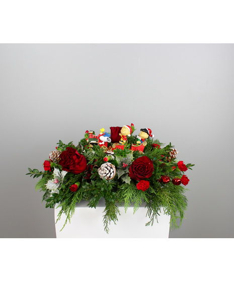 All Aboard The Peanuts Express