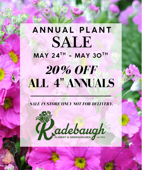 Get your garden summer-ready during our Annual Plant Sale at Radebaugh Florist & Greenhouses!