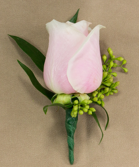 Pink Rose Boutonniere