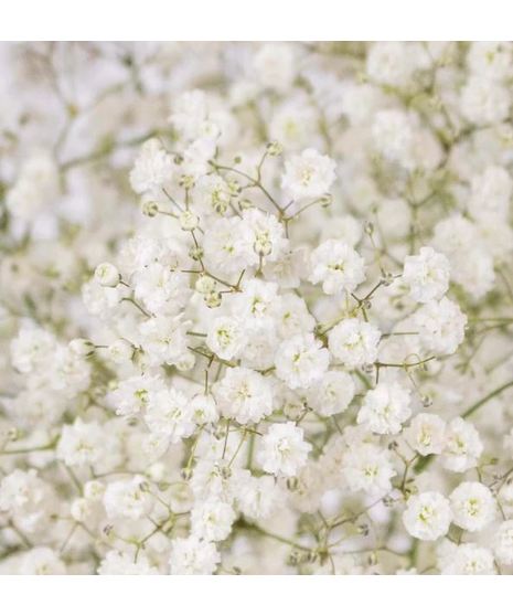 Accent Flower