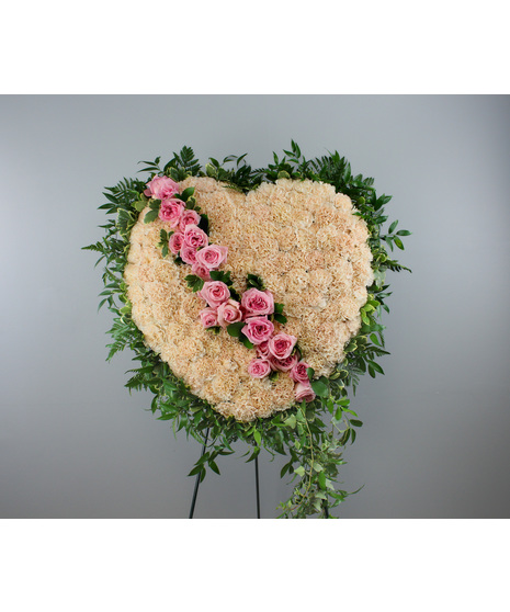 Sympathy Collections