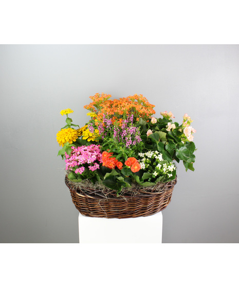 Country Blooms - All Blooming Seasonal Country Basket