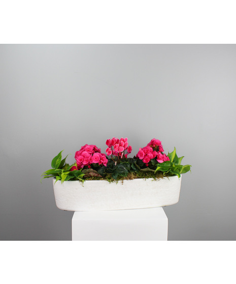 Sweet Harmony Planter is a beautiful blend of color and texture.