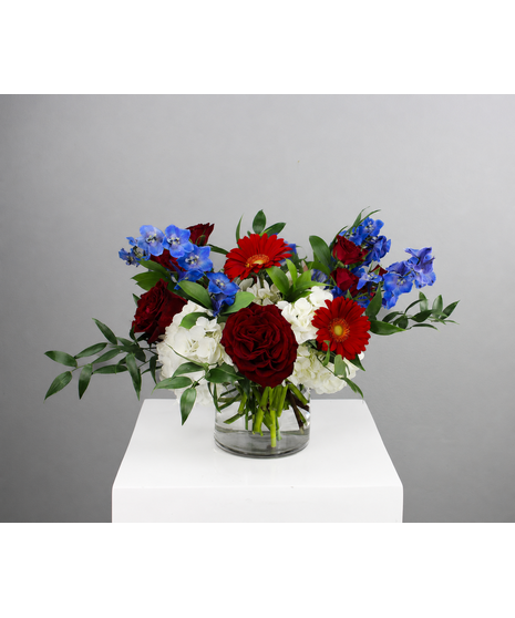 Stars and Stripes is a vibrant celebration of American spirit and style.