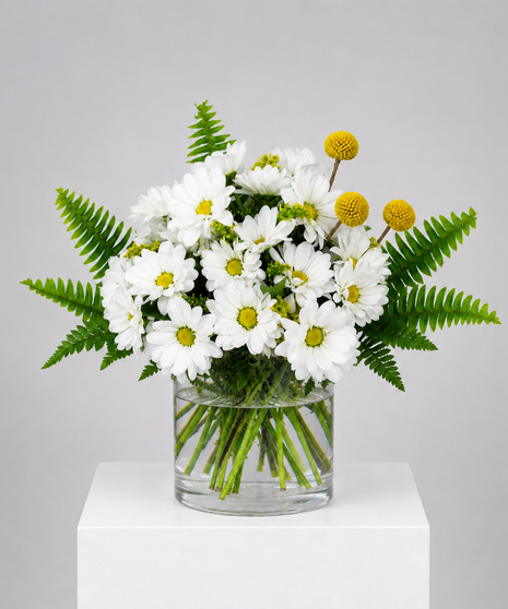 Daisies, Daisy Bouquet